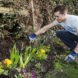 Planting Flowers