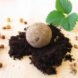 Seed Ball