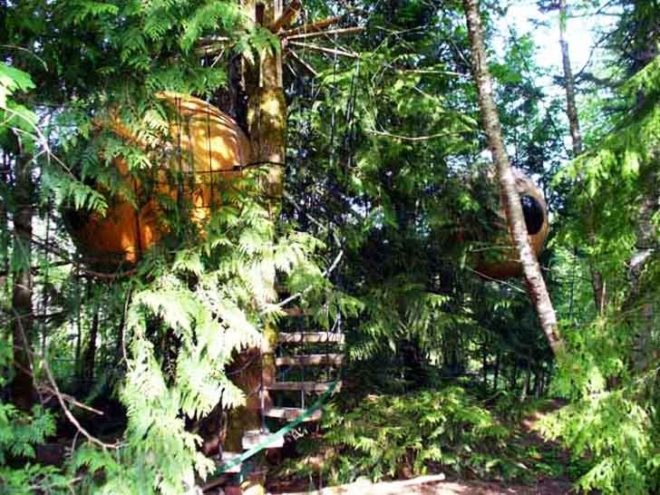 Eco Spheres, Free Spirit, free spirit eco sphere, eco treehouse, treehouse, sphere treehouse, sphere, tree house, sphere tree house, round treehouse, round tree house, Tom Chudleigh, Canada, Pacific Northwest, BC treehouse, British Columbia Treehouse