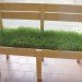 Milan Design Week, Grass Sofa, Grass Couch, Grass Bench, Grass Chair, Living bench, living chair, living sofa, Mow Chair, Milan Furniture Fair, Fadi Sarieddine, Lebanese architects, Local furniture, furniture in Dubai