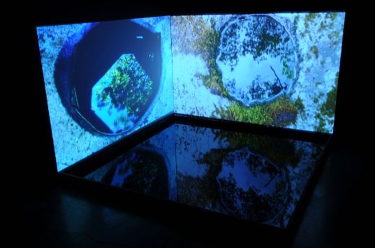 X Nevada Museum of Art. Center for Art and the Environment, sustainable design, green design, eco art, chris drury, land art, environmental art, sustainable building, mushroom clouds