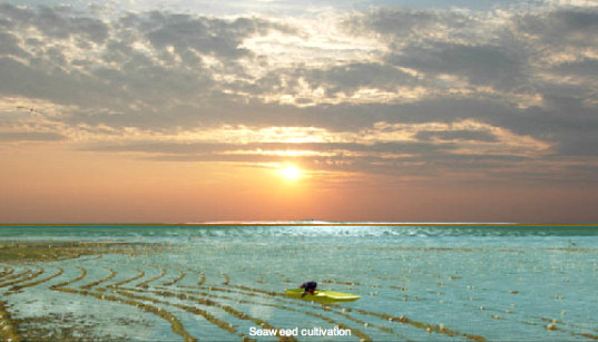 recycled island, pacific gyre, gyre, floating plastic, pacific ocean, recycled materials, floating island, island, climate refugees, whim architects, self-sufficient, renewable energy, solar power, wave power, farming, aquaculture, seaweed, food production, eco design, green design, sustainable building, concept