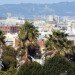 dolores park, san francisco, green cities, sustainable cities, san francisco, trees, urban forests, trees, sustainable design