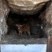 truffle, trufa, concrete house, spain, green designs, green architecture, 3d printing, sustainable design, cow, eco design, ensamble estudio