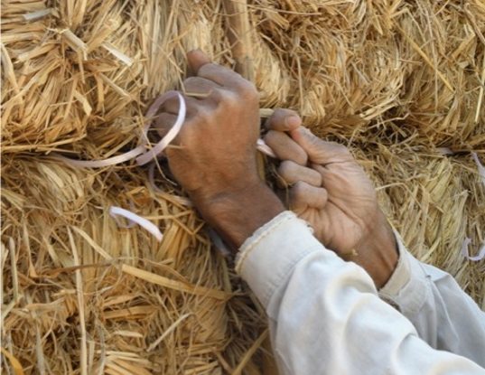 straw bail, straw bail building, Pakistan building, earthquake resistant building, handmade straw bales, PAKSBAB, Renewable building materials, Green building, affordable earthquake building