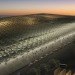 hong kong, china, pearl river delta, transportation, transportation hub, indoor gardens, air quality, energy efficiency, daylighting, natural daylight, natural ventilation, green design, eco design, sustainable building