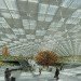 hong kong, china, pearl river delta, transportation, transportation hub, indoor gardens, air quality, energy efficiency, daylighting, natural daylight, natural ventilation, green design, eco design, sustainable building