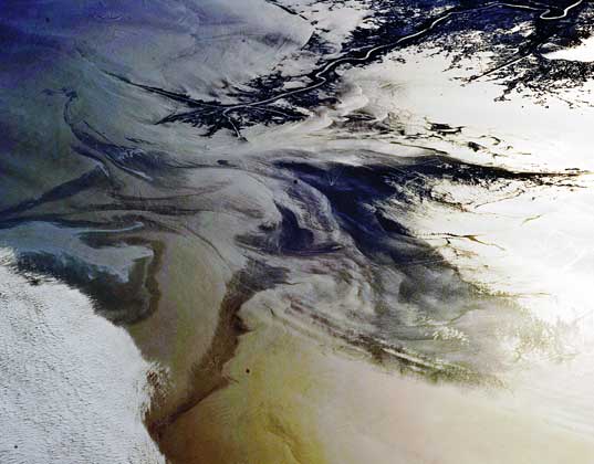 deepwater horizon, oil spill, gulf of mexico, blowout preventor, oil slick, bp, solutions, clean up