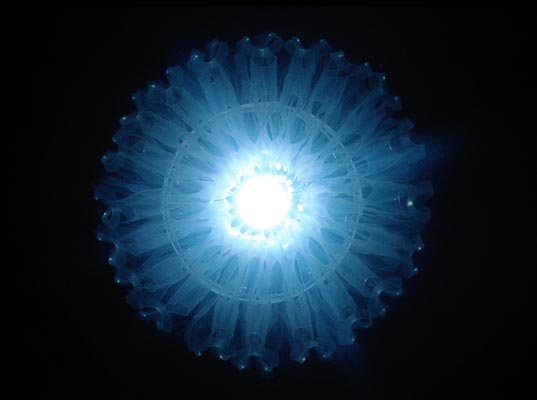 Bao Khang Luu, inhabitat's spring greening contest, six-pack ring, green design, eco design, sustainable design, LED, light fixture