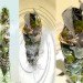 eco tower, eco skyscraper, skyscraper, evolo, rainwater, thin film solar, solar power, renewable energy, vertical farming, gardens, open space, mixed use development, green design, sustainable building, eco design