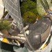 eco tower, eco skyscraper, skyscraper, evolo, rainwater, thin film solar, solar power, renewable energy, vertical farming, gardens, open space, mixed use development, green design, sustainable building, eco design