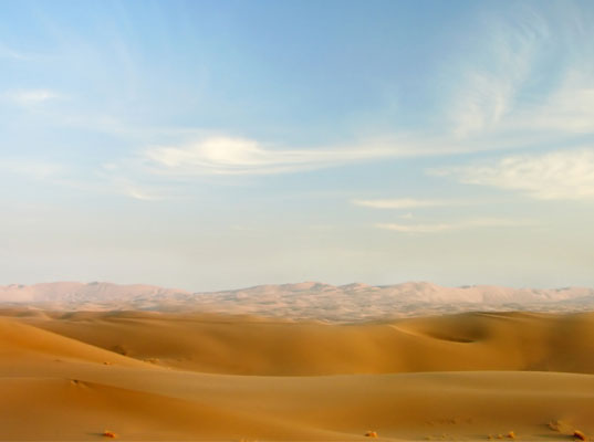 persian gulf, farm, farmland, arid land, desert, irrigation, mycorrhiza, fungus, food scarcity, food security, united arab emirates, abu dhabi, dubai, kuwait, qatar