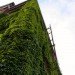 sustainable design, green materials, sustainable architecture, SABER, insulation, LEED, biomimicry