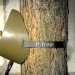 public event waste disposal, green events, urine disposal, public urine, tree nutrition