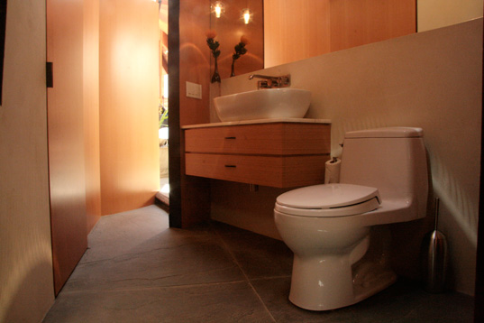 Liebermann, sustainable architecture, daylighting, Radius House, SmithBuilt, Dwyer Design, wood, metal, windows