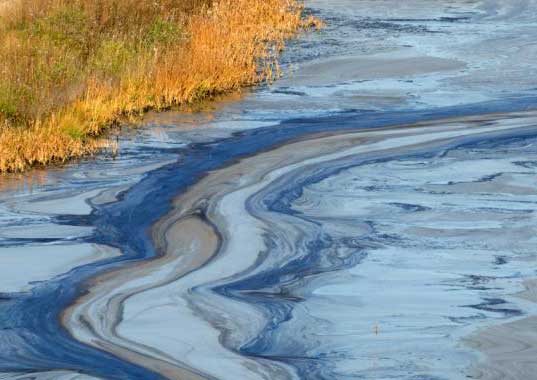 human hair, pet fur, nylons, panty hose, hair booms, oil cleanup, bp, oil spill, gulf of mexico, recycled materials, renewable materials, toxic cleanup