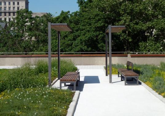 green roof, PLANT architects, toronto, toronto city hall, podium roof, sedum, urban garden, green space, landscape architecture, green roof bylaw, green design, eco design, sustainable building