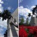 tree museum, trees, arboretum, zwitzerland, zurich, enzo enea, landscape architecture, oppenheim architecture and design, green design, landscape architecture, eco design, green building, Sustainable Building,