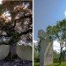 tree museum, trees, arboretum, zwitzerland, zurich, enzo enea, landscape architecture, oppenheim architecture and design, green design, landscape architecture, eco design, green building, Sustainable Building,
