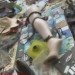Save the Beach, HE Schult, Garbage Hotel, Rome Hotel, ocean garbage, beach garbage, environmental art