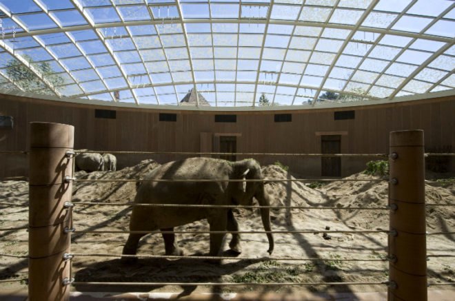 foster and partners, elephant house, copenhagen, green design, eco design