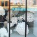 Slow Commerce, The Indo Projects, Chicago, window display, eco design, sustainable design, green design, make believe, to go cups