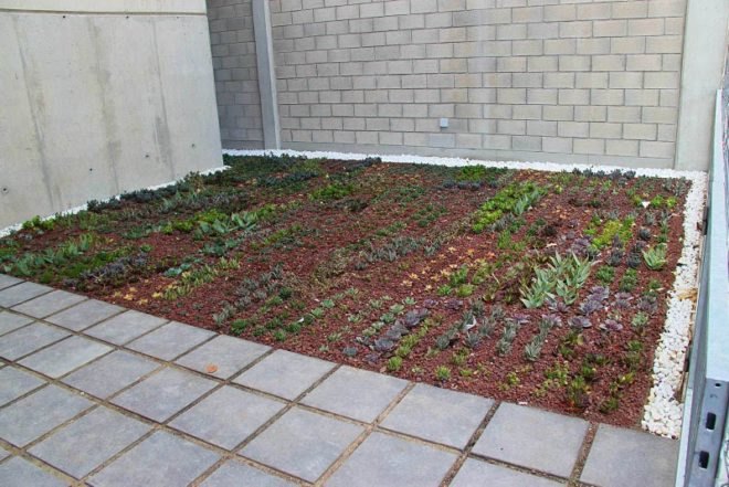 green roof, garden, succulents, urbanarbolismo, spain, living roof,