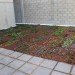 green roof, garden, succulents, urbanarbolismo, spain, living roof,