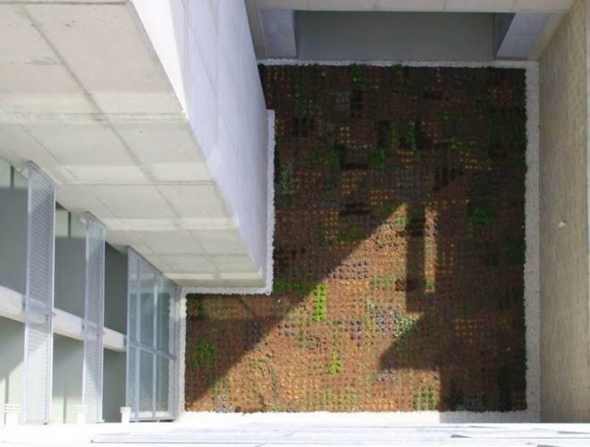 green roof, garden, succulents, urbanarbolismo, spain, living roof,