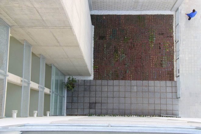 green roof, garden, succulents, urbanarbolismo, spain, living roof,