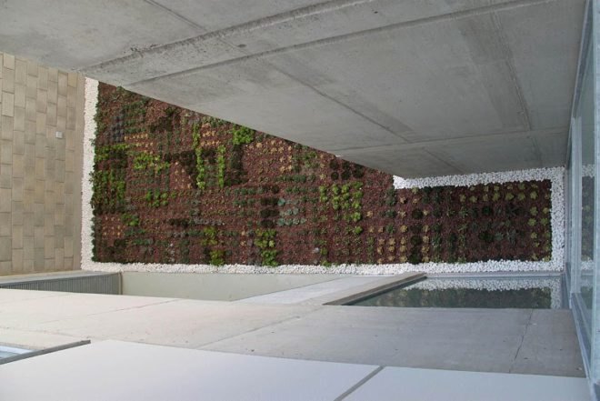 green roof, garden, succulents, urbanarbolismo, spain, living roof,