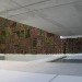 green roof, garden, succulents, urbanarbolismo, spain, living roof,