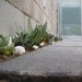 green roof, garden, succulents, urbanarbolismo, spain, living roof,
