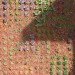 green roof, garden, succulents, urbanarbolismo, spain, living roof,
