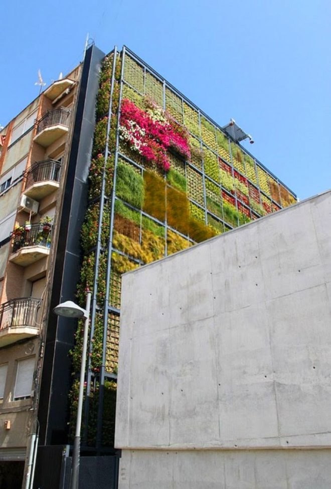 vertical garden, jose maria chofre, san vicente, spain, green design,