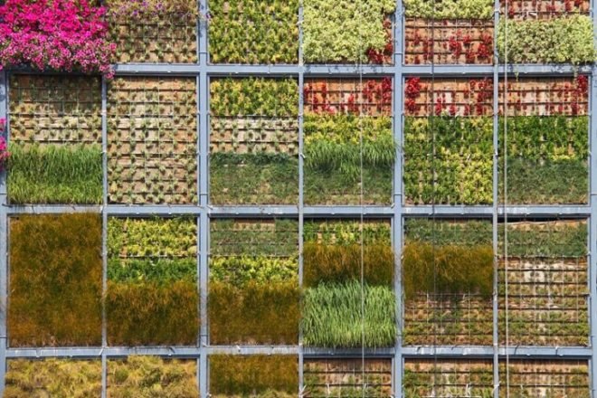 vertical garden, jose maria chofre, san vicente, spain, green design,