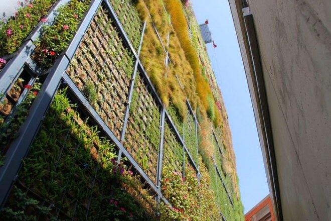 vertical garden, jose maria chofre, san vicente, spain, green design,