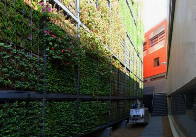 vertical garden, jose maria chofre, san vicente, spain, green design,