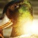 most nightmarish lamp ever created, taxidermy, taxidermied lamps, reclaimed materials, alex randall, green lighting, eco light fixtures, animal decor, green design, green products, bespoke lighting, lamps, sustainable design, eco design