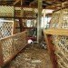 banana fiber, architectural facade, green materials, architectkidd, bangkok, green architecture