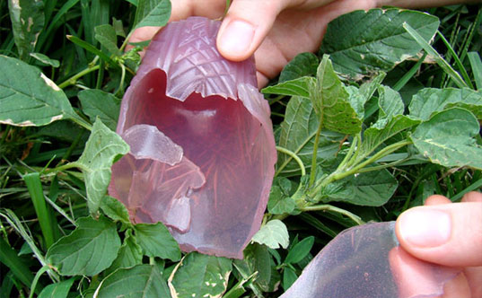 jelloware, jello cups, jell-o, the way we see the world, jell-o mold competition, gowanus studio space edible cups, biodegradable cups, green cups, agar agar, eco cups, eco friendly tableware