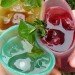 jelloware, jello cups, jell-o, the way we see the world, jell-o mold competition, gowanus studio space edible cups, biodegradable cups, green cups, agar agar, eco cups, eco friendly tableware