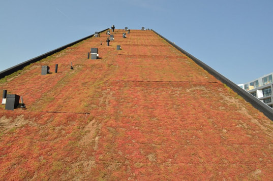 danish green, Danish design, Green roof, Copenhagen apartment, urban design, mixed use building,