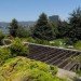 Oakland Museum renovation, Kevin Roche Oakland, Mark Cavagnero, Green roof museum, brutalism, brutalist, museum renovation, 12th st project, Downtown revitalization, museum upgrade, green museum,