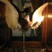 most nightmarish lamp ever created, taxidermy, taxidermied lamps, reclaimed materials, alex randall, green lighting, eco light fixtures, animal decor, green design, green products, bespoke lighting, lamps, sustainable design, eco design
