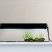 Florent coirier, lusamono, growing lamps, modern grow lamps, plant lamps, interior lamps, green lamps, gardening lamps. Lighting, green lighting