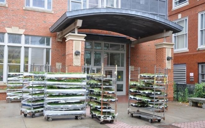 boston latin school, sustainable roof, green roof, studio g architects, living laboratory, boston