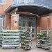 boston latin school, sustainable roof, green roof, studio g architects, living laboratory, boston