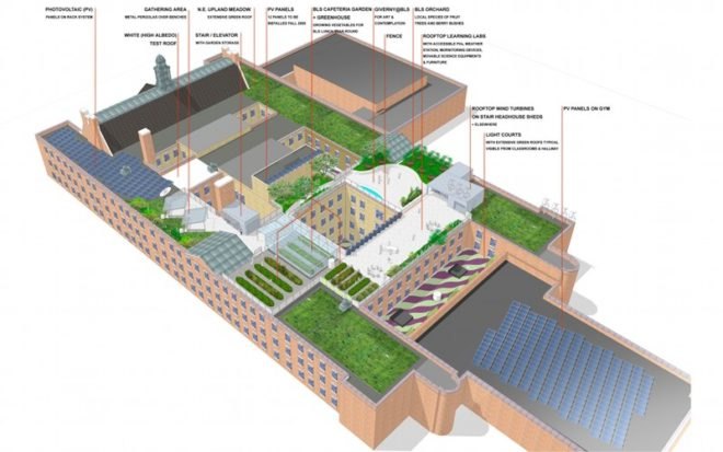 boston latin school, sustainable roof, green roof, studio g architects, living laboratory, boston