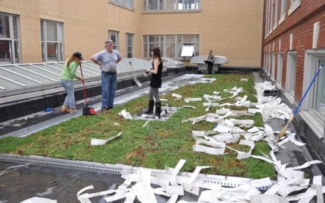 boston latin school, sustainable roof, green roof, studio g architects, living laboratory, boston